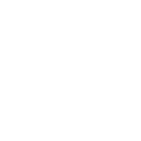 22r icon